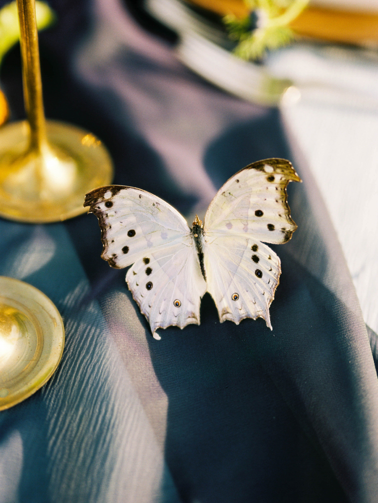 Colorado Bridal Sessions: Butterfly Wedding Decor