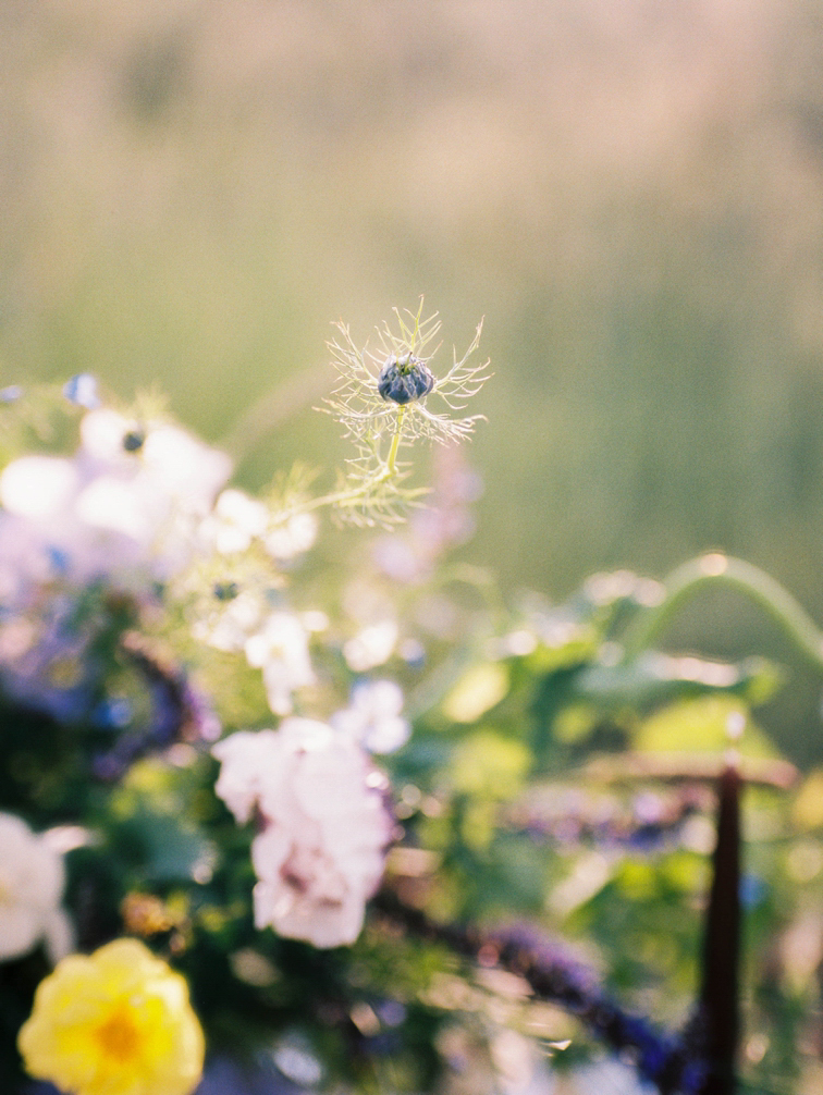 Colorado Bridal Sessions: Fine Art Wedding Florals