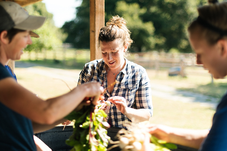 Farm To Table Produce Photos 