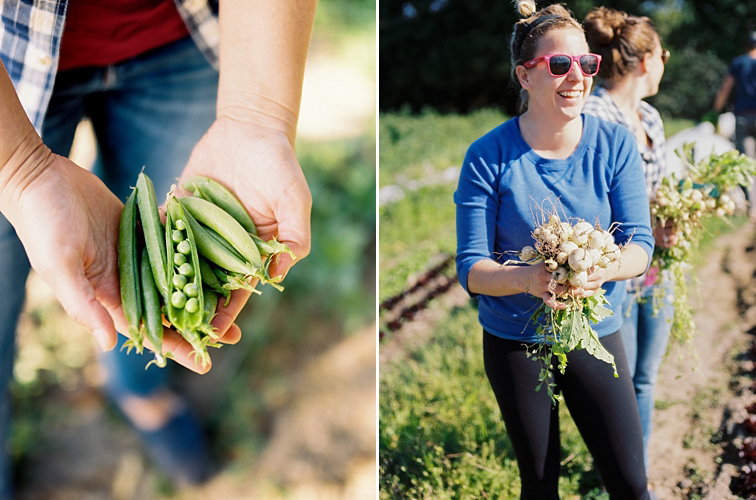 Fresh Food Photos In California 