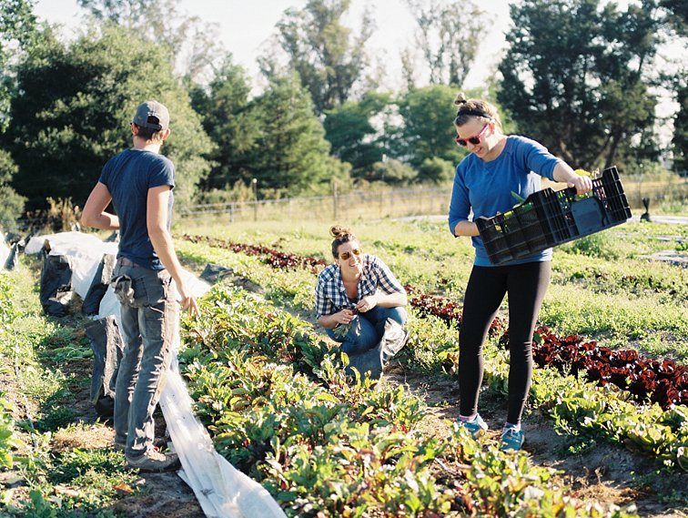 Farm To Table In Santa Rosa