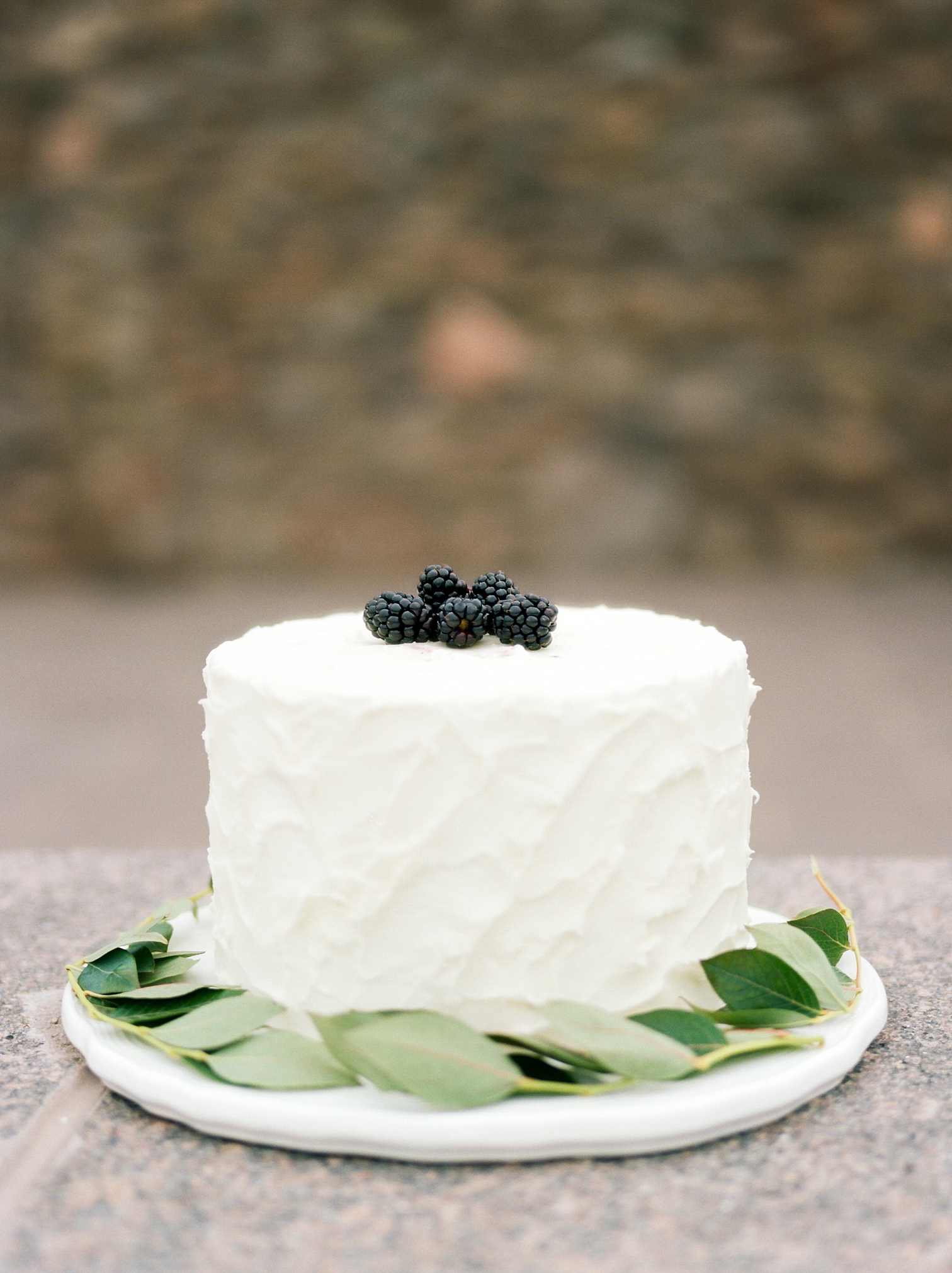 Colorado Wedding Cakes, Mountain Wedding Venues, Colorado Wedding Photographer