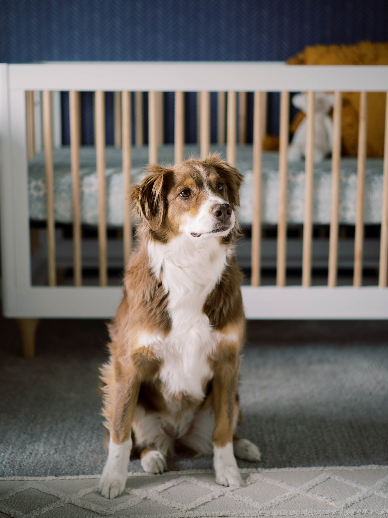 Portrait Photographer In Crested Butte Colorado