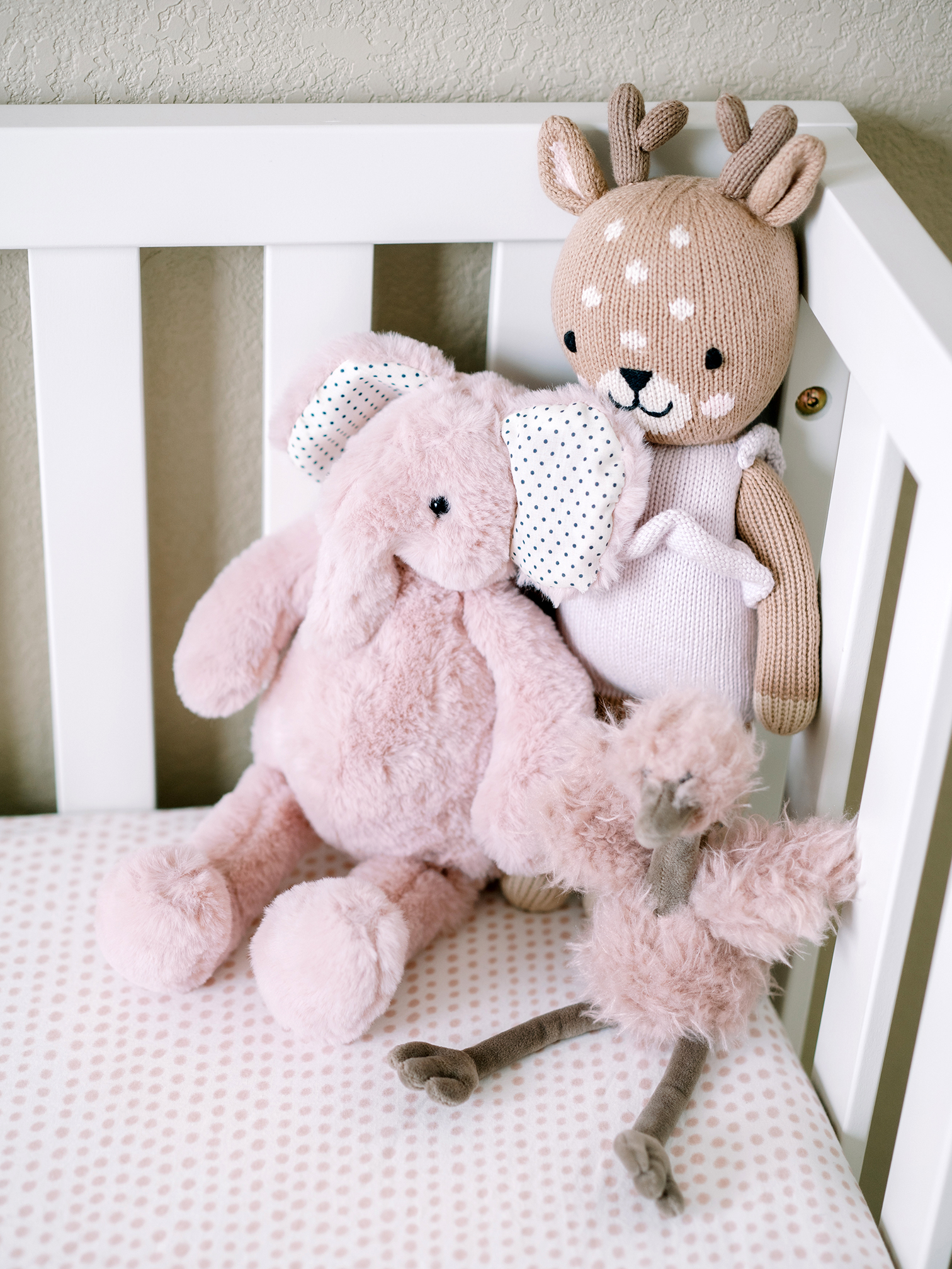 Aspen Colorado, Newborn Sessions