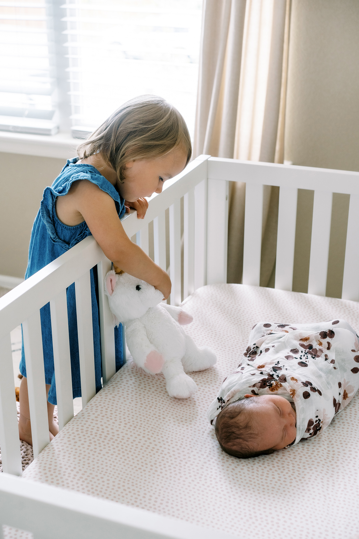 Newborn Photography, Aspen Colorado