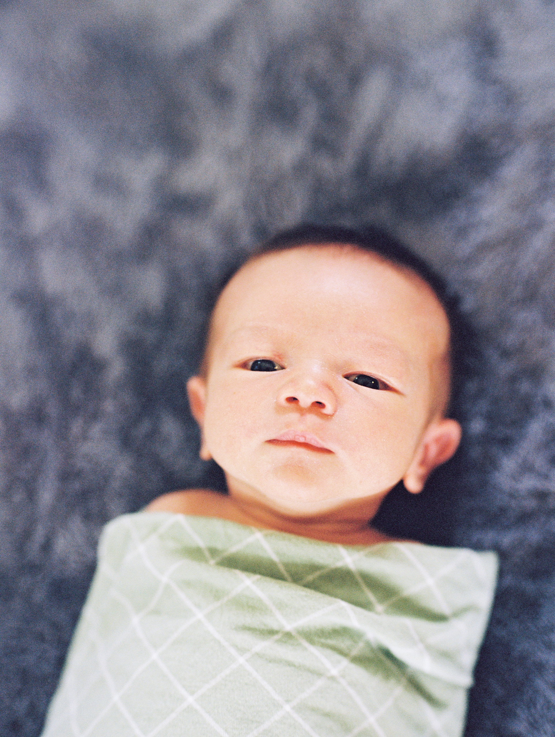 Telluride Family Portraits, Telluride Portrait Photographer, Family Photos in Telluride 